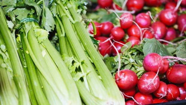 fresh vegetables at a local farmer’s market