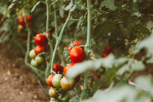 healthy foods rich in vitamins