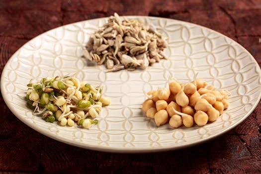 nutrient-rich snacks